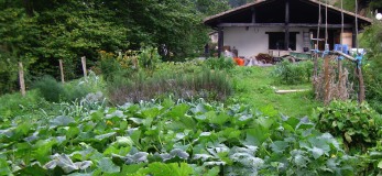 Biologischer Gemüsegarten Goikola