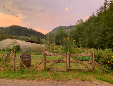 Estanque y huerta, Goikola