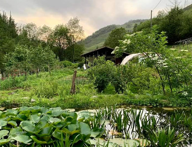 Estanque y huerta, Goikola