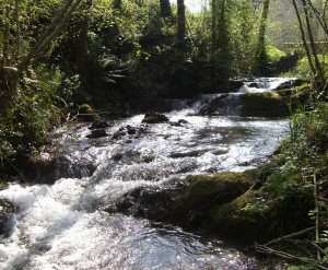 Rio Gaztañaga